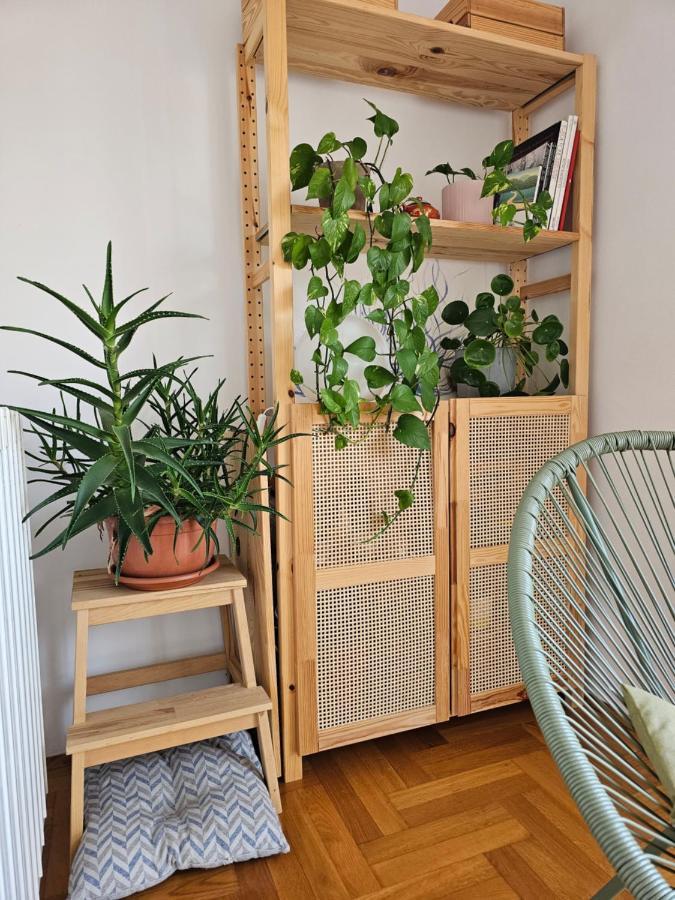 Pantovcak Oaza Apartmán