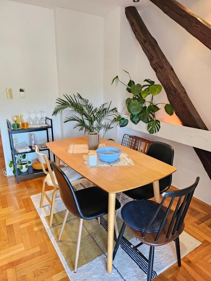 Pantovcak Oaza Apartment