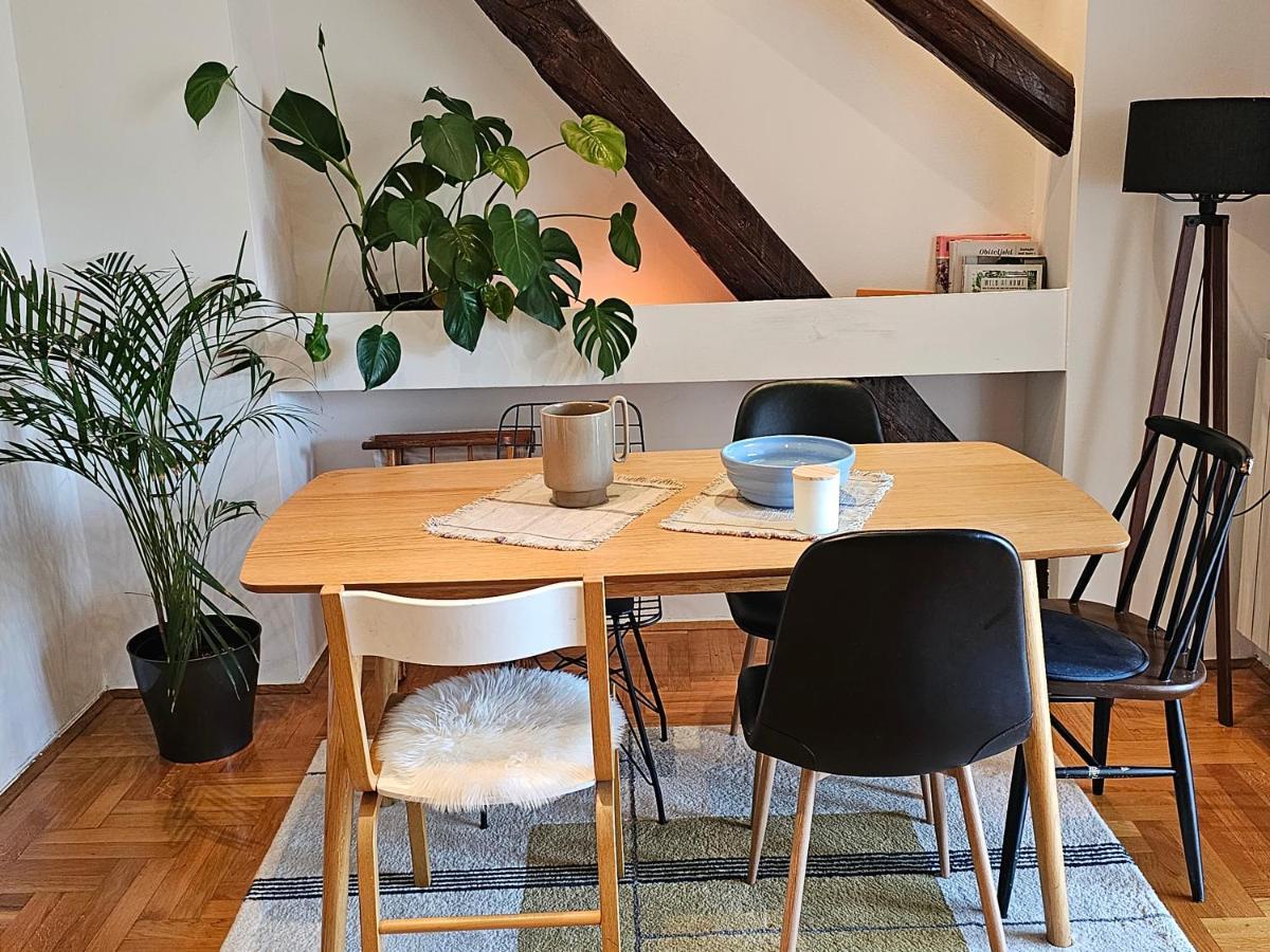 Apartment Pantovcak Oaza